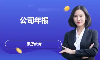 公司年报